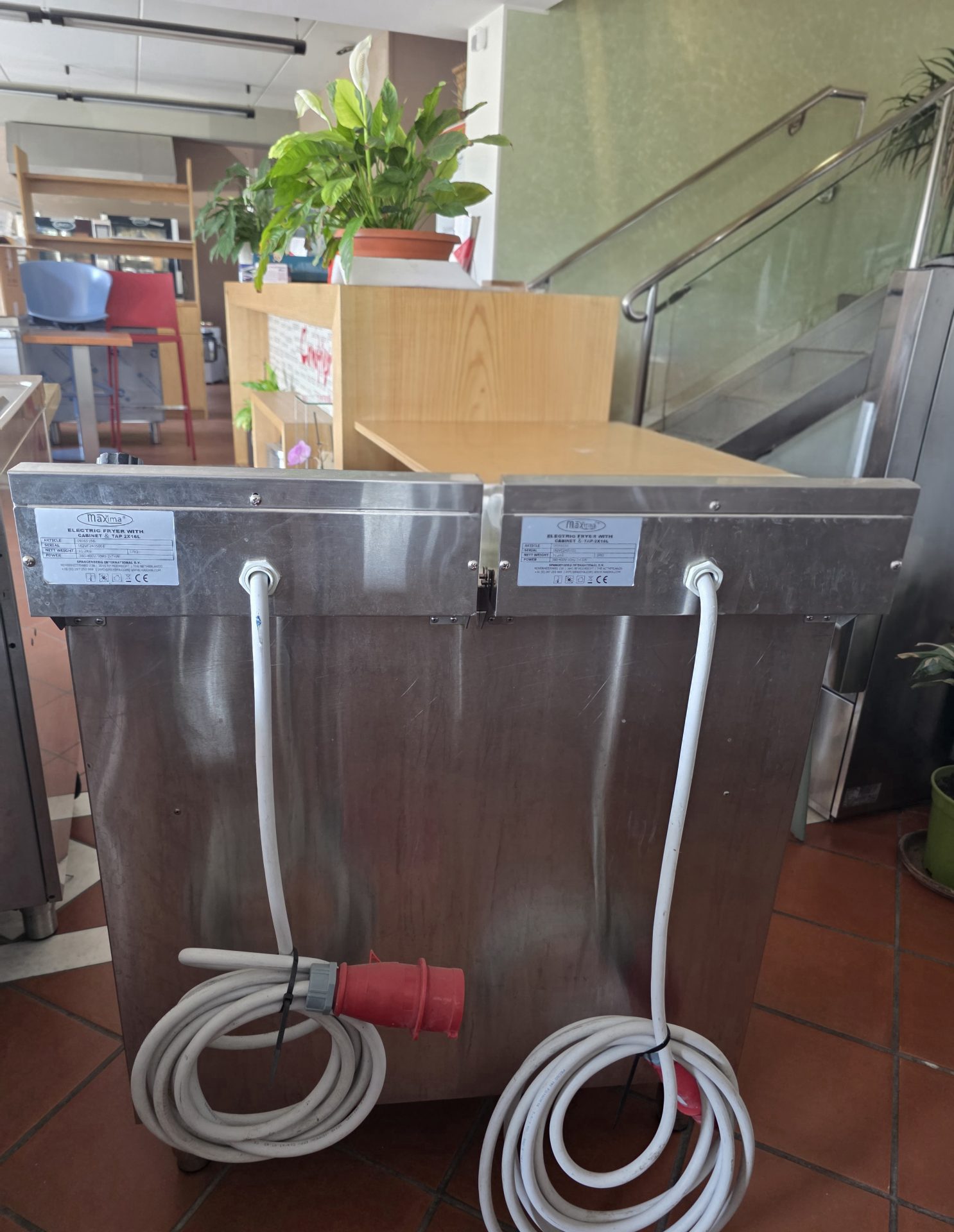FRIGGITRICE ELETTRICA PROFESSIONALE - immagine 5